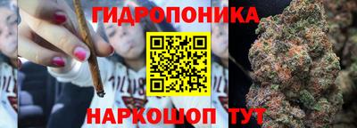 скорость Кимры